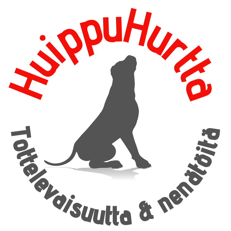 AKTIVOINTIA AIKUISILLE KOIRILLE